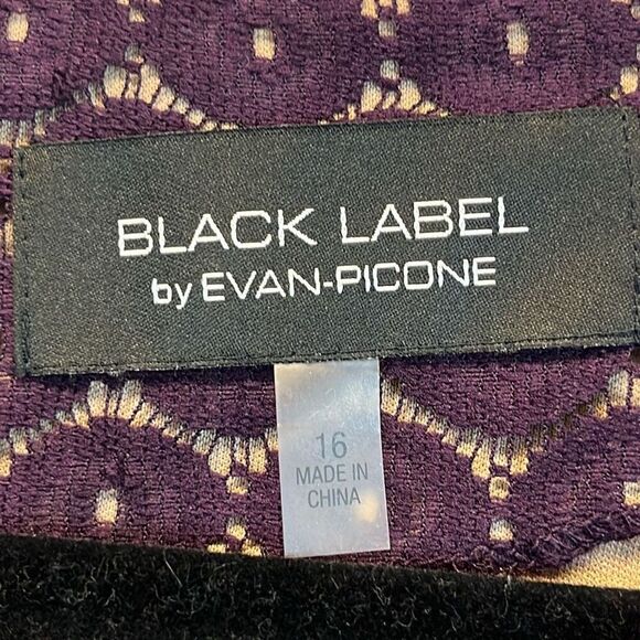 NWT BLACK LABEL by EVAN PICONE Dress Size16 Dark Purple Lace with Belt - Picture 5 of 15